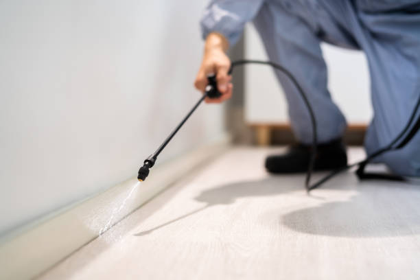 Licensed Rodent Control service in Colonial Beach, VA - Nex Pest Control