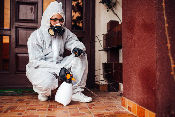Reliable Rodent Control contractor in Colonial Beach, VA by Nex Pest Control