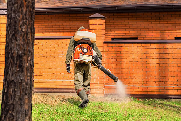 Trusted Termite Control service in Colonial Beach, VA - Nex Pest Control